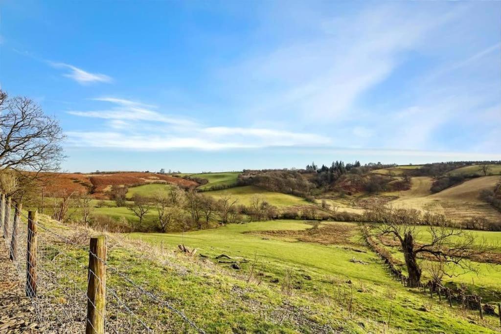 Llanbister Upper Caerfaelog Farmhouse מראה חיצוני תמונה